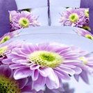 Комплект постельного белья Tango TS-FS619 Семейный