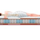 Матрас Sportletica Fit-Expert standart 80х140